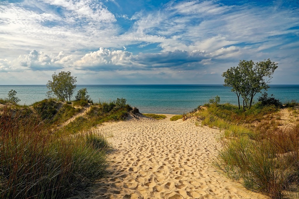 Beach Dunes Walkway